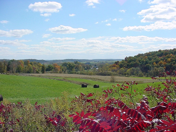 Columbia County commercial roofing contractors in Columbia County, WI
